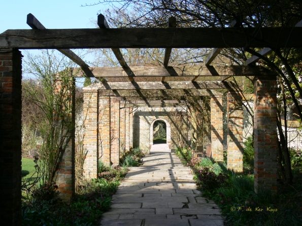 Bois des Moutiers (21) mars 2012